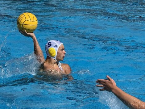 Mladi upi na Madžarsko