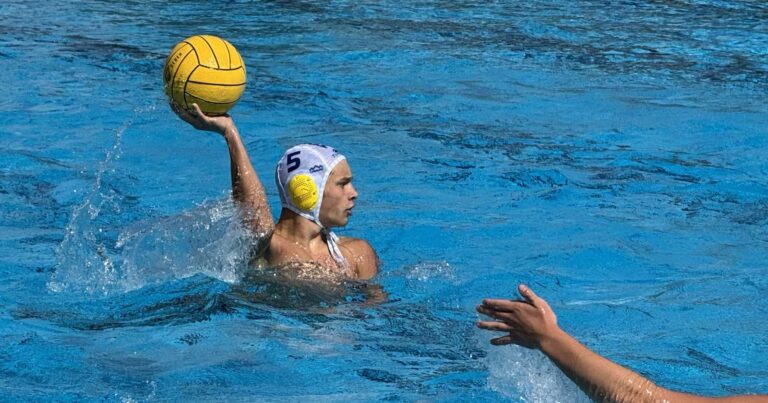 Mladi upi na Madžarsko